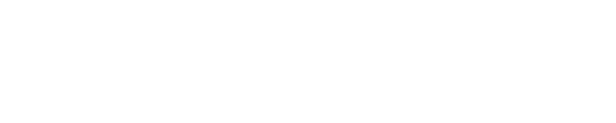 True Religion KR